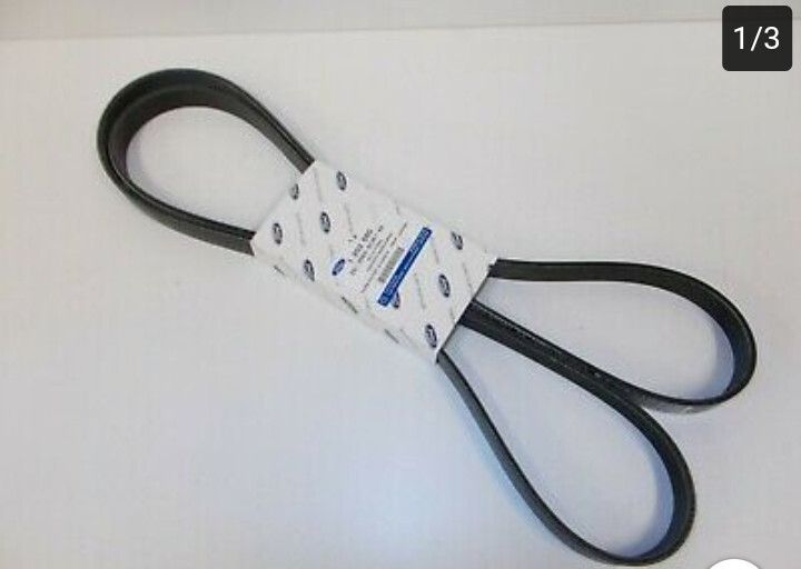 Клиновый ремень Ford Fiesta MK6 хэтчбек 2006 г.  1.3 л бензин Львов