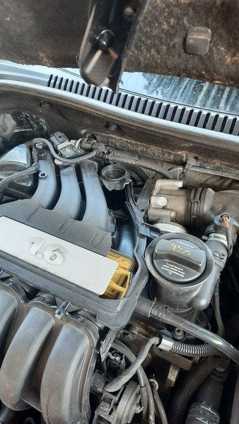 Впускной коллектор мотор 1.6 мпи Seat Leon 2  2007 хэтчбек 1.6 Бензин Харьков
