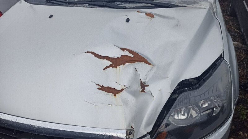 Капот Ford Focus  2010 хетчбек 1.6 Бензин 