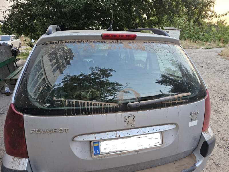 Скло задньої кришки багажника Peugeot 307  2002 універсал 2.0 Дизель 