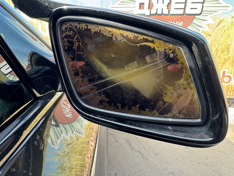 Правый зеркальный элемент BMW 5 Series  2012 3.0 Бензин Днепр