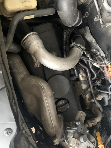 Крышка клапанов Volkswagen T5 (Transporter)  2008 2.5 Дизель Подгородное
