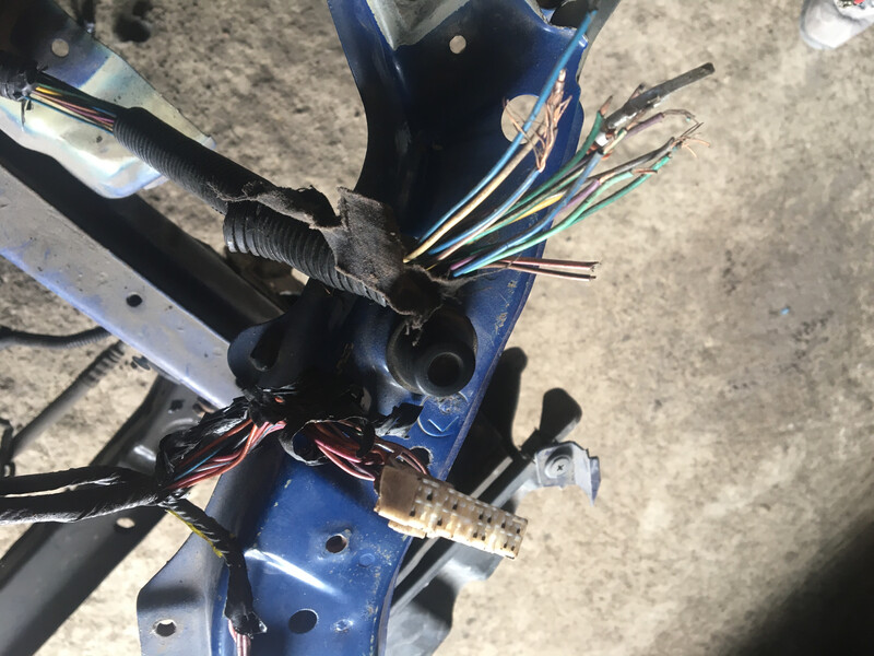 Проводка двигуна Chevrolet Lacetti  2007 1.8 Бензин 