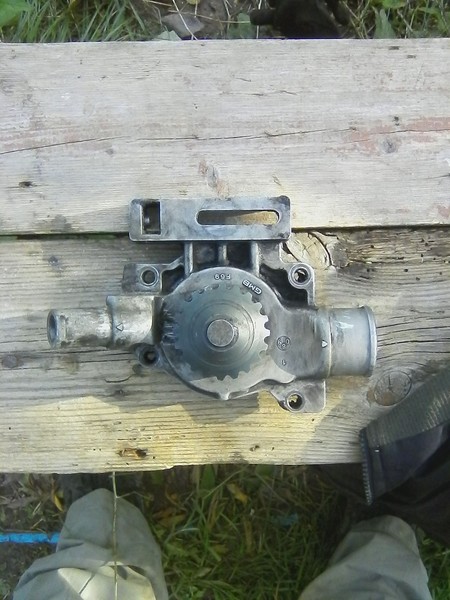 Водяная помпа Ford Escort универсал 1992 г.  1.9 л бензин Умань