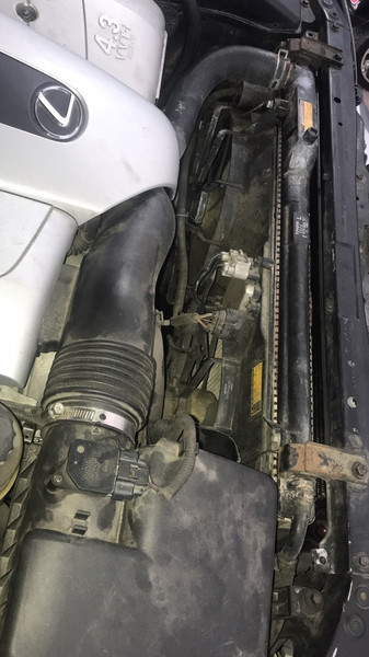 1640050241 радиатор Lexus LS  2004 4.3 Бензин Киев