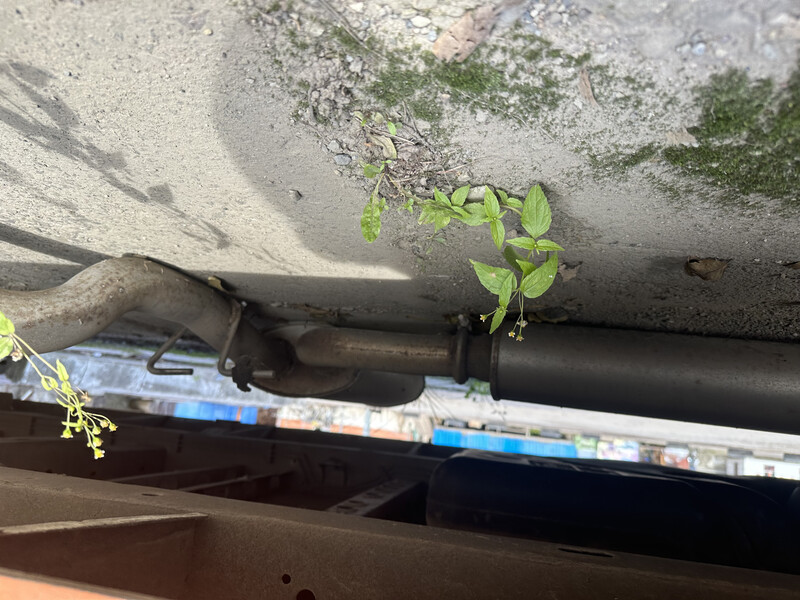 Резинки для вихлопної труби Renault Master  2004 2.5 Дизель Радомышль