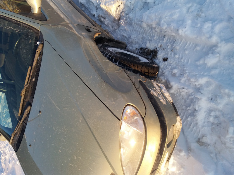 Крыло левое Renault Megane 2 2003 г.  1.4 л бензин Днепр