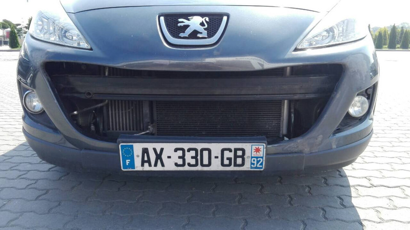Решетка радиатора Peugeot 207 хэтчбек 2010 г.  1.4 л бензин Львов