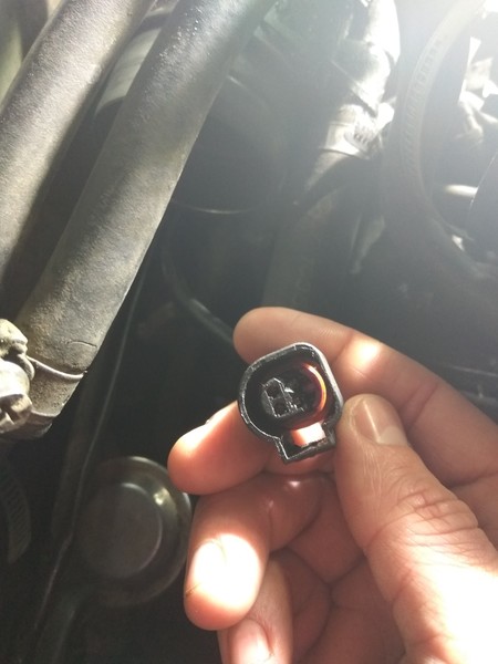 Фишка на датчик ОЖ Volkswagen Passat B5 2004 р.  2.0 л бензин Одеса