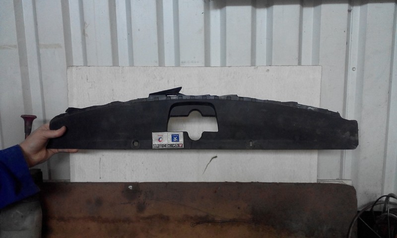 Пластиковая накладка на переднюю панель Peugeot 307  2005 универсал 1.6 Бензин Киев