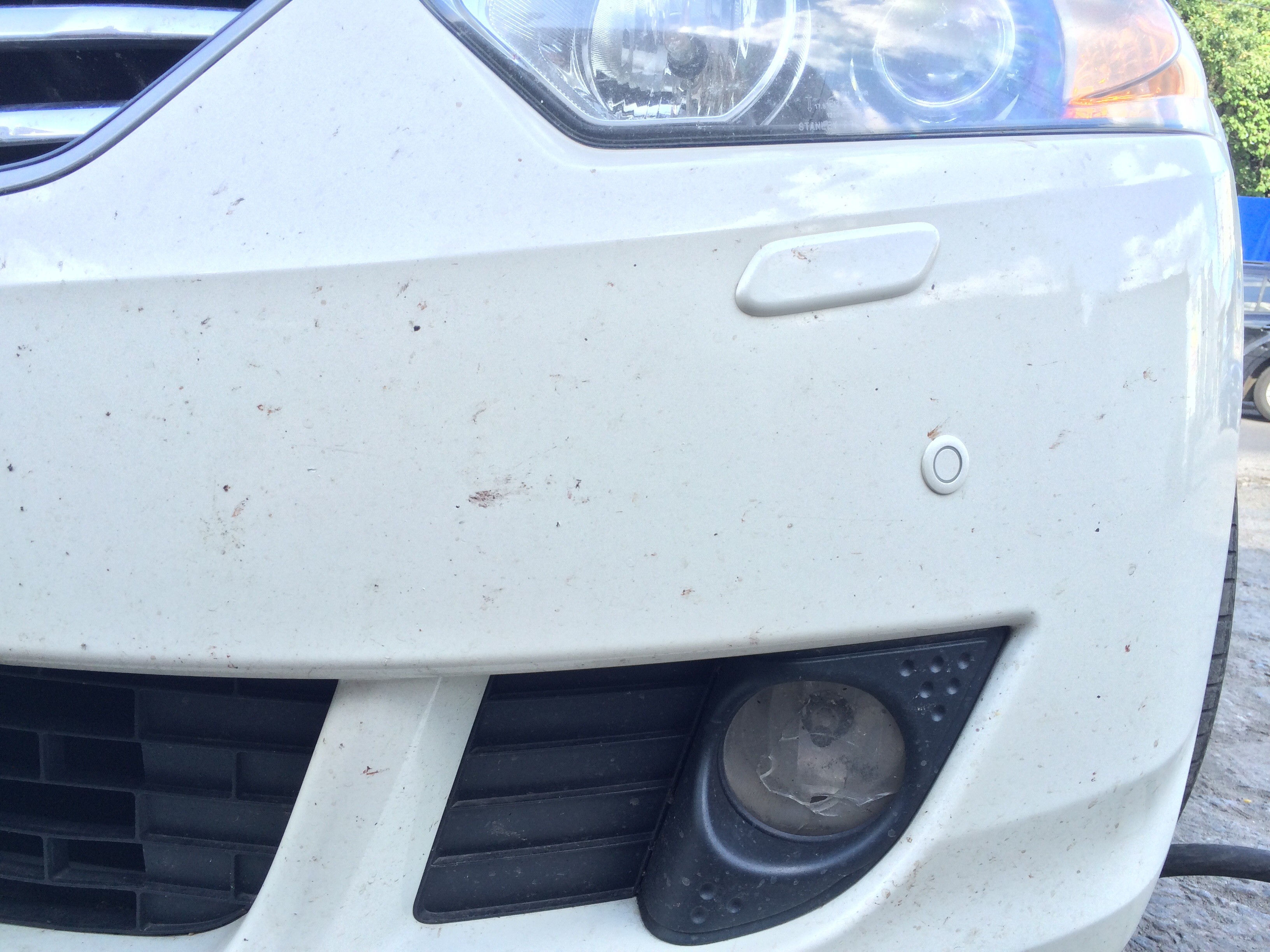 Задняя противотуманная фара Honda Accord  2008 2.4 Бензин Днепропетровск