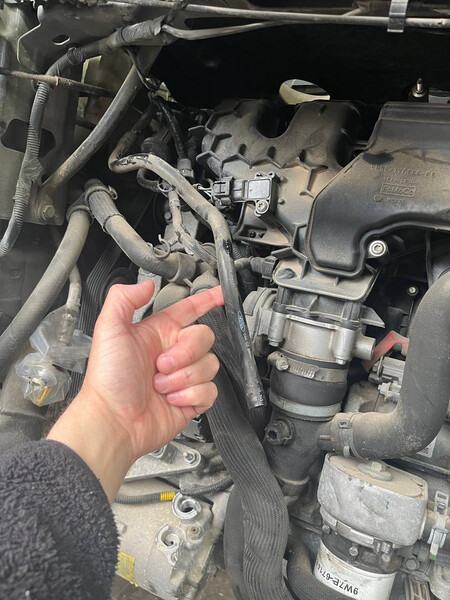 Вакуумна трубка Land Rover Range Rover Evoque  2016 20.0 Бензин 