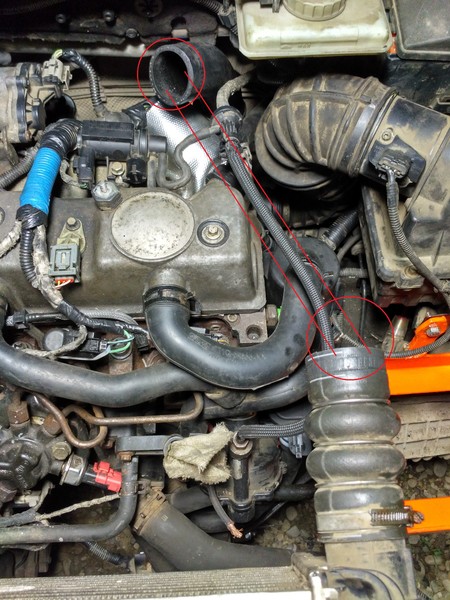 Патрубок интеркулера Ford Transit Connect  2008 1.8 Дизель Ужгород