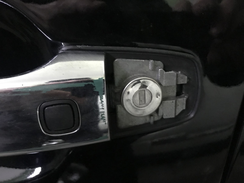 Заглушку ручки двери Toyota Land Cruiser 200  2012 4.5 Дизель Чернигов