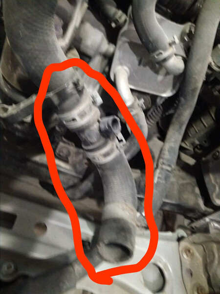 Датчик температуры жидкости с патрубками Toyota RAV4  2019 2.5 Гибрид Хмельницкий