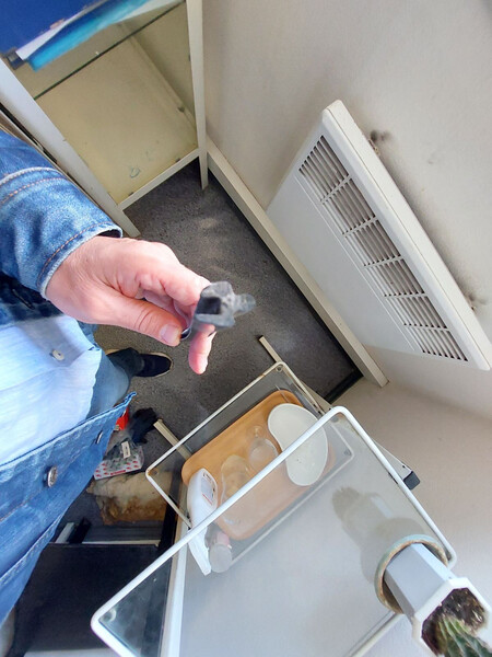 Ущільнювач резинка заднього скла кришки багажника універсал Toyota Carina E  1997 універсал 2.0 Бензин 