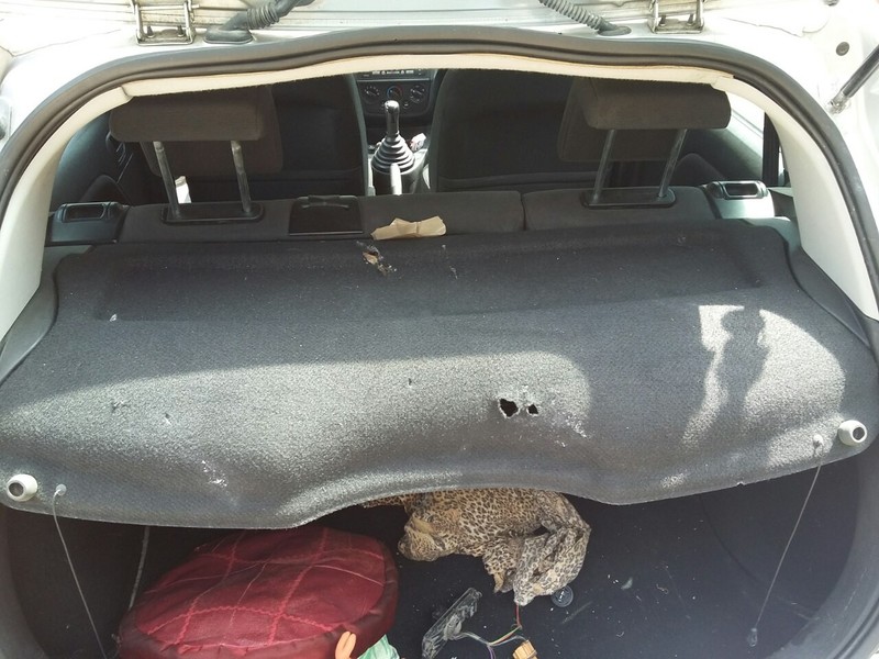 Задняя полка, потолок Ford Fiesta MK6  2007 хэтчбек 1.6 Бензин Львов