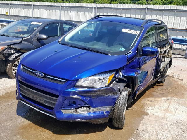 Дверь левая Ford Escape 2015 г.  1.5 л бензин Ровно