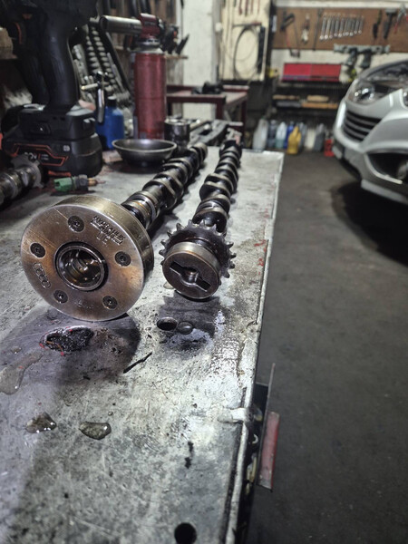 Розподільний вал Volkswagen Passat B6  2006 універсал 2.0 Бензин Рожище