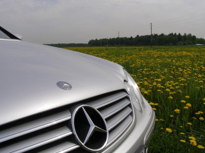 Значёк в радиаторную решётку Mercedes CLK 209 кузов купе 2002 г.  2.6 л бензин Донецк
