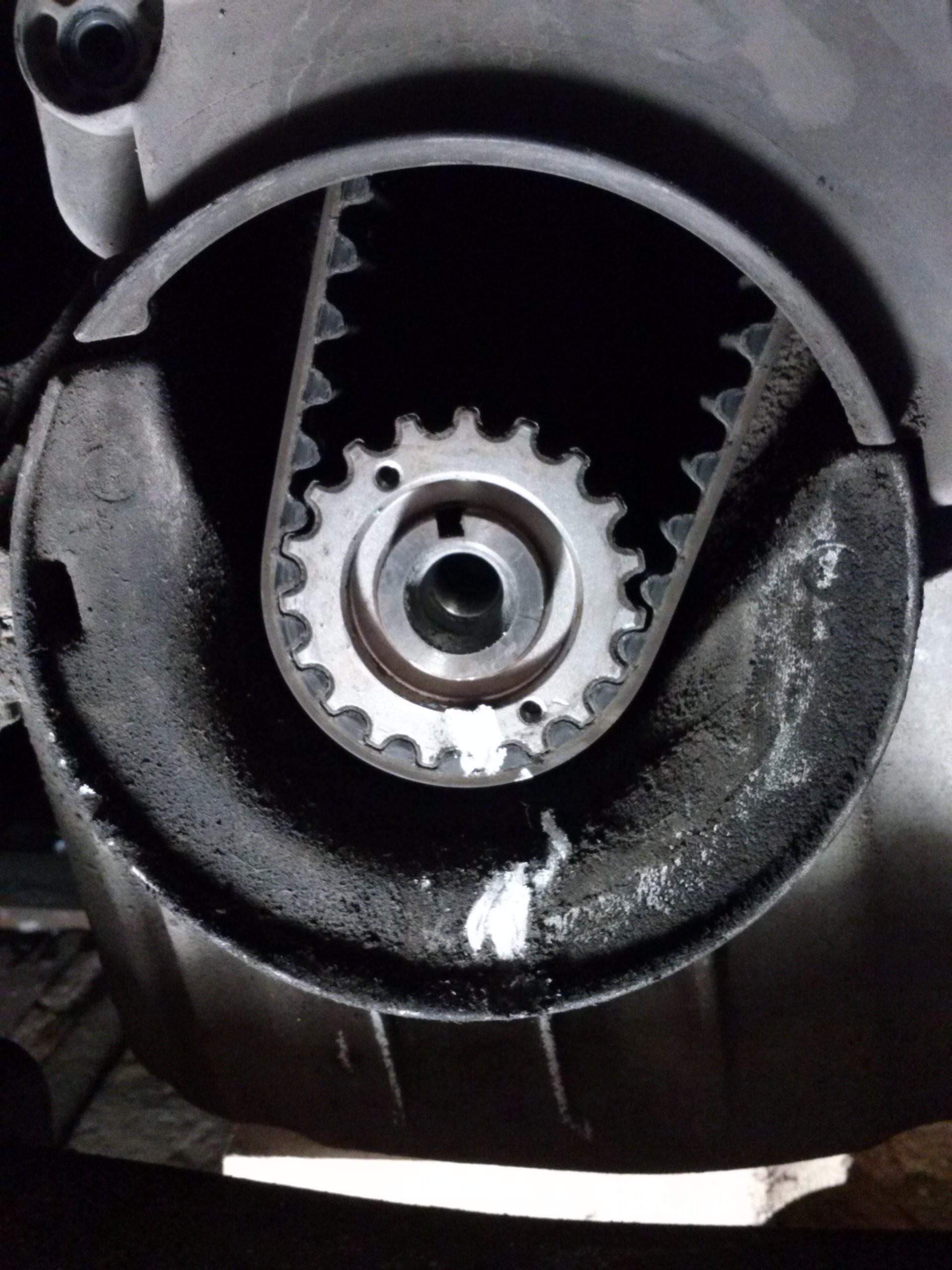 Зірочка коленвала 8200758088   Renault Megane