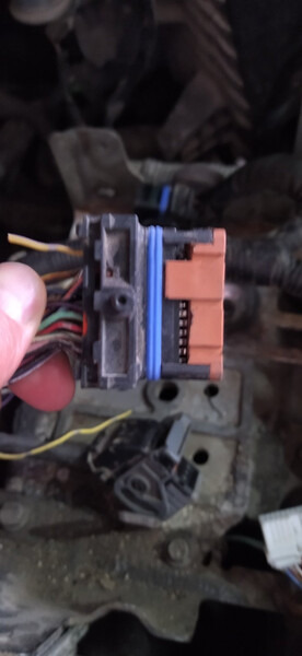 Проводка подкапотная Nissan Qashqai J10  2008 2.0 Бензин Днепр