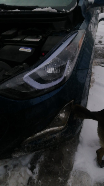 Галогенная фара правая 921023X280   Hyundai Elantra