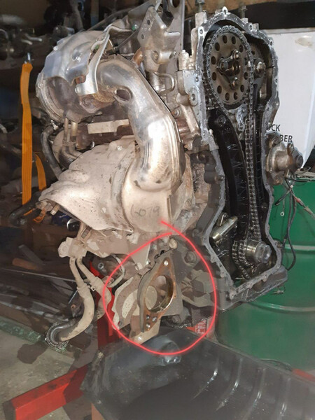 Двигатель Renault Koleos универсал 2008 г.  2.0 л дизель Одесса