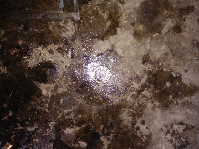 Подшипник КПП Seat Marbella  1992 хэтчбек 0.8 Бензин Львов