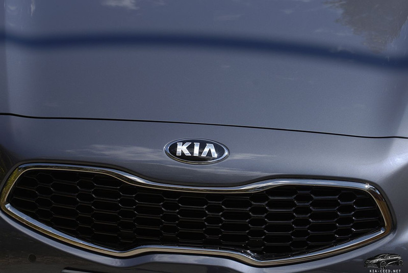 Решетка радиатора Kia Cee`d JD хэтчбек 2013 г.  1.6 л бензин Киев