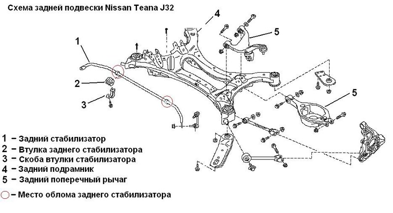 Задний  стабилизатор поперечной устойчивости Nissan Teana  2008 2.5 Бензин 