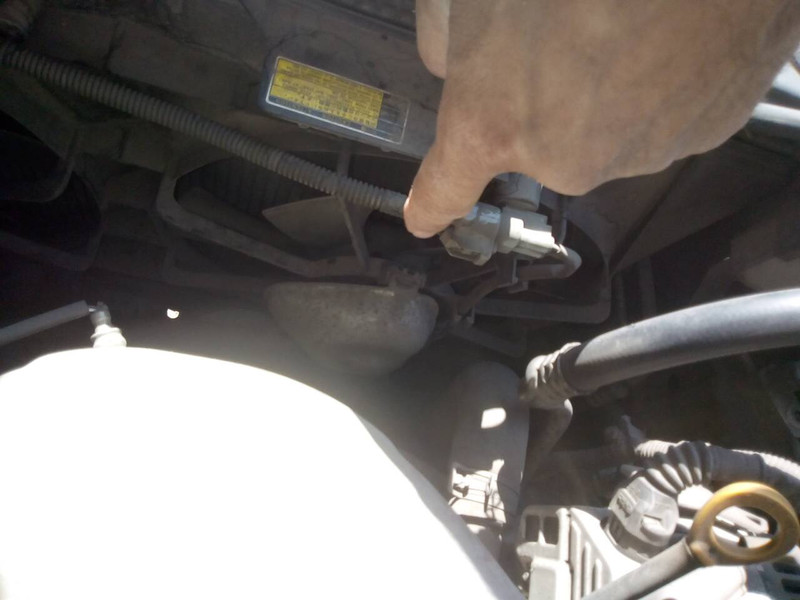 Вентилятор радиатора Toyota Camry 30 2003 г.  2.4 л бензин Днепр