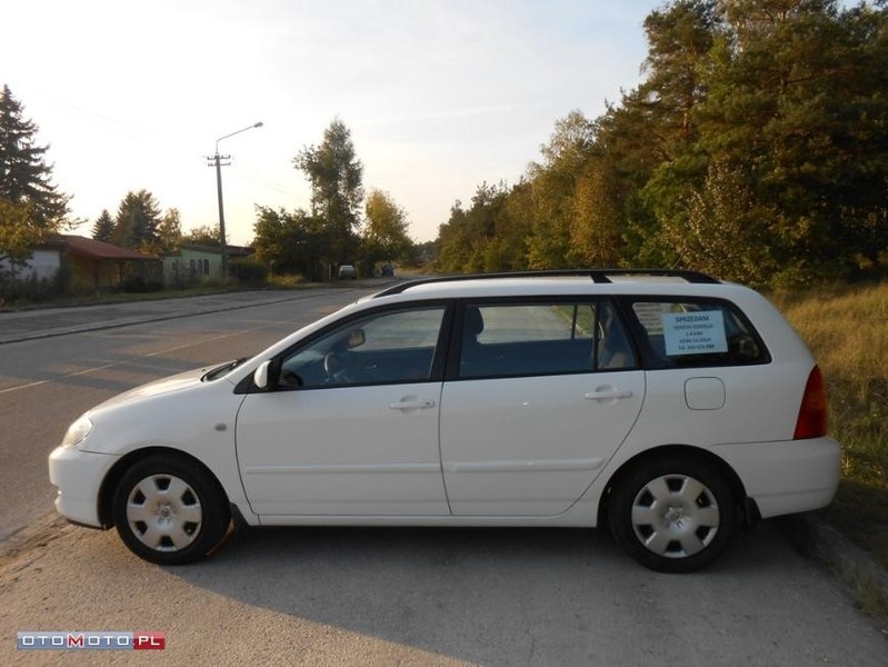 Молдинг лівої задньої дверки Toyota Corolla E120  2005 универсал 1.4 Дизель Ровно