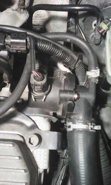 Термостат Skoda Fabia  2002 универсал 1.4 Бензин Хрестовка