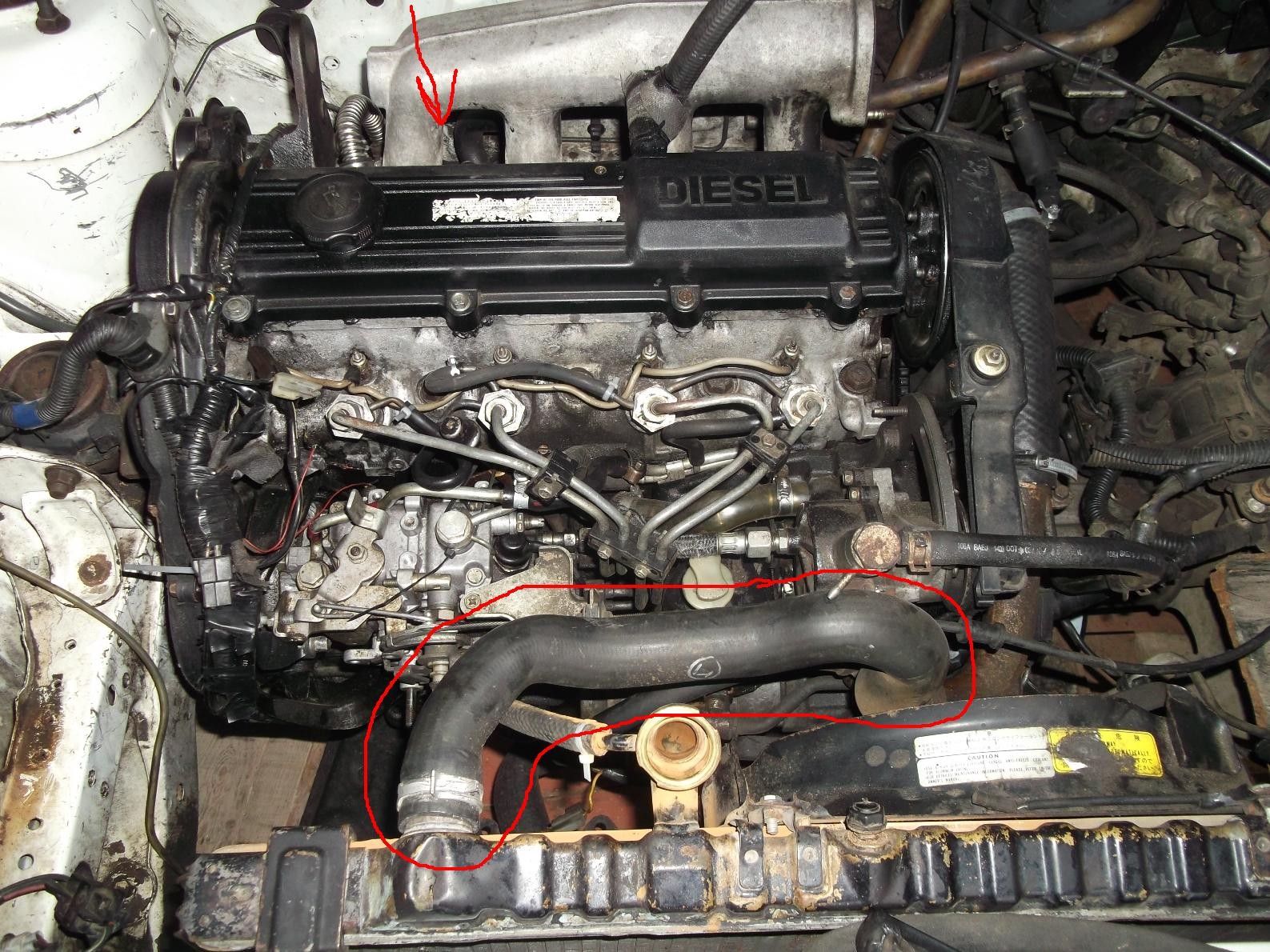 Патрубок системы охлаждения Mazda 626 GLX Comprex 1994 2.0 Дизель Мариуполь