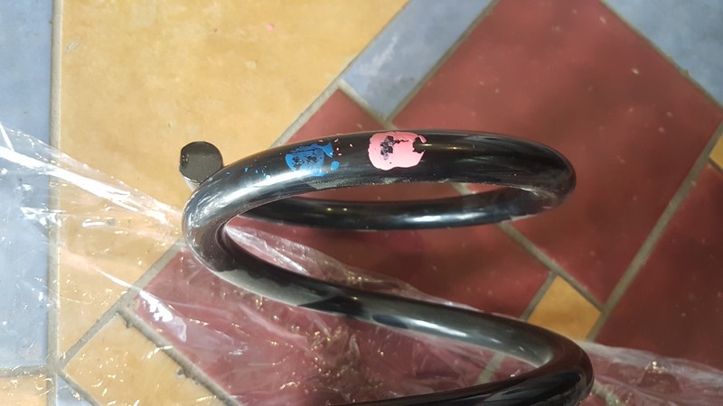 Пружина передняя 5030762   Ford Transit