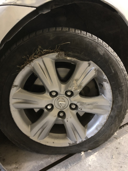 Диск титановый r16 Lexus IS 250 2005 2.2 Дизель Ровно