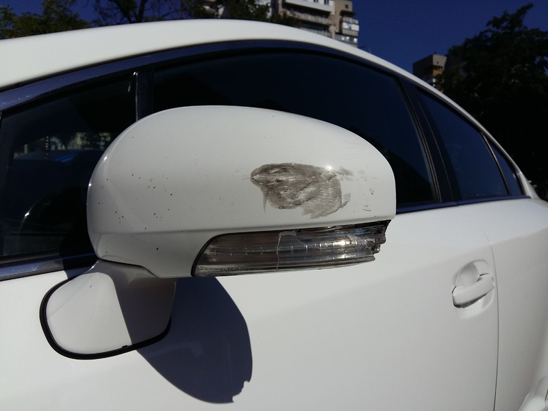 Боковое зеркало заднего вида Toyota Avensis  2012 1.8 Бензин Теплодар