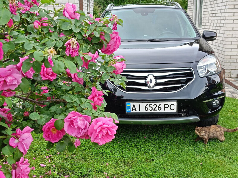 Накладка переднего бампера Renault Koleos  2011 Киев