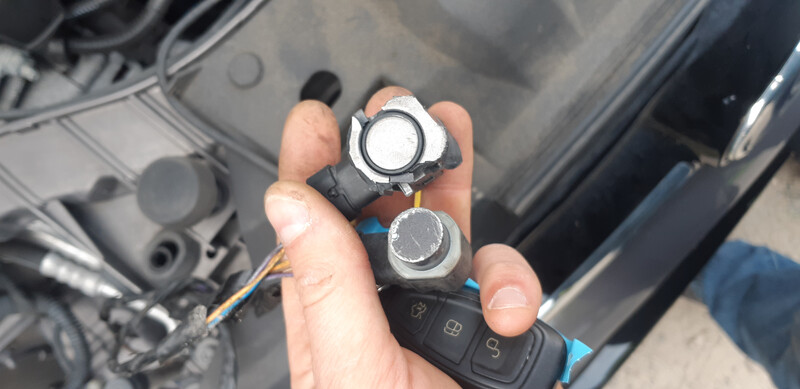 Датчик парктроніка передній Ford Focus 3  2012 універсал 1.6 Бензин 